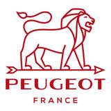 Bình Thở Rượu Peugeot IBis Magnum 230012 1,5L Đựng Rượu Vang Lâu Năm