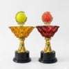 Cúp Pickleball Pha Lê Đẹp – Thiết Kế Hiện Đại Cao Cấp