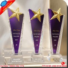 Cúp Pha Lê Lưu Niệm Cao Cấp Chuyên Nghiệp