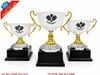 Đặt Mua Cúp Pickleball Lấy Ngay Tại Hà Nội – Thiết Kế Độc Đáo, Giao Hỏa Tốc Trong Ngày