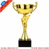 Cúp Bóng Chuyền Kim Loại Mạ Vàng – Giải Thưởng Thể Thao Cao Cấp