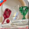Kỷ Niệm Chương Giải Pickleball Khắc Logo Theo Yêu Cầu