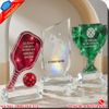 Kỷ Niệm Chương Giải Pickleball Khắc Logo Theo Yêu Cầu