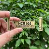 Dịch Vụ In Tem Inox Chuyên Nghiệp Giao Hàng Toàn Quốc