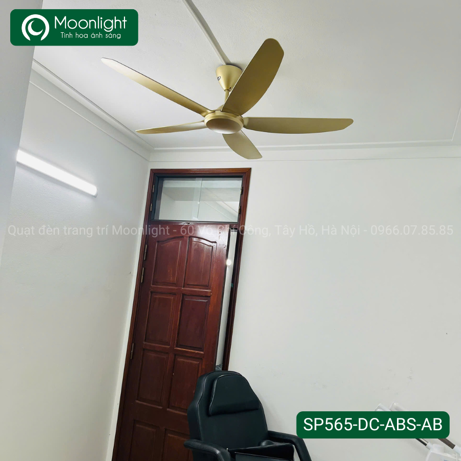 Quạt trần Đài Loan Luxaire Simple 5 cánh 142cm 50w DC SP565-DC-ABS