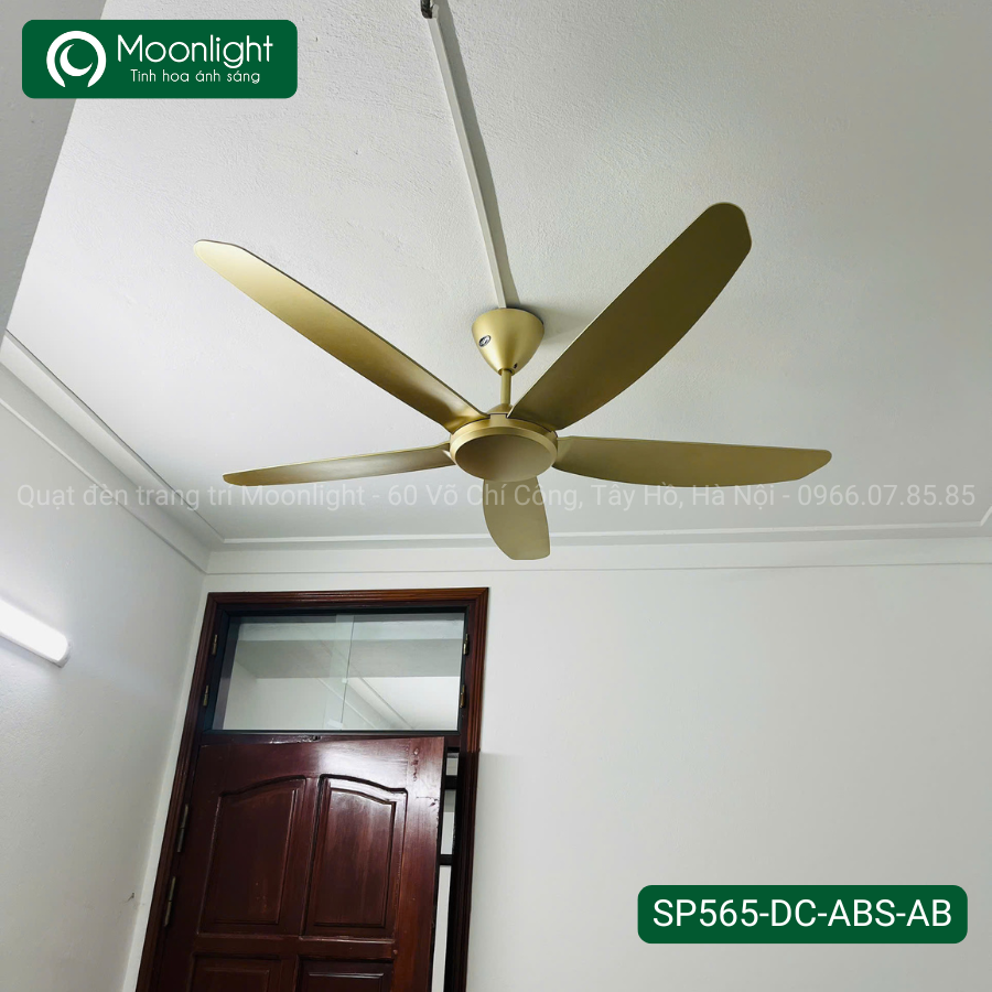 Quạt trần Đài Loan Luxaire Simple 5 cánh 142cm 50w DC SP565-DC-ABS