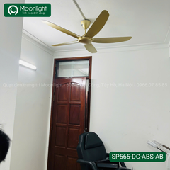 Quạt trần Đài Loan Luxaire Simple 5 cánh 142cm 50w DC SP565-DC-ABS