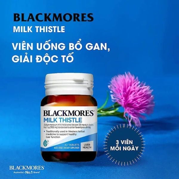 Blackmores Viên Uống Bổ Gan Chiết Xuất Từ Cây Kế Sữa Milk Thistle 42 Viên (chính hãng)