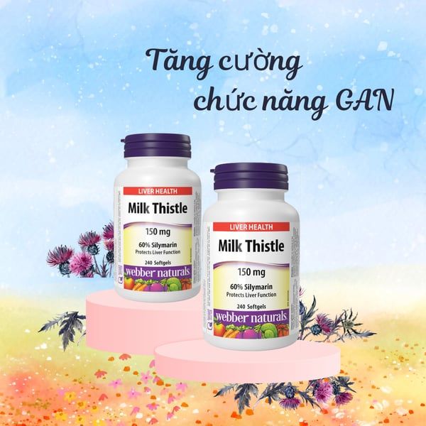 Webber Naturals Viên Uống Hỗ Trợ Bảo Vệ Chức Năng Gan Milk Thistle 150mg Hộp 240 Viên