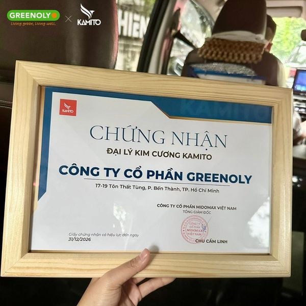 Kamito Vợt Pickleball Alpha-X Màu Xanh Ngọc - Hồng