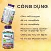 Webber Naturals Viên Uống Hỗ Trợ Tim Mạch, Não Triple Strength Omega 3 900mg EPA/DHA Hộp 80 Viên