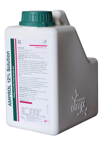 AMPROL 12% SOLUTION