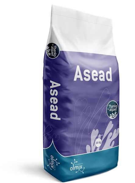 ASEAD