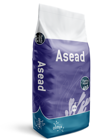 ASEAD