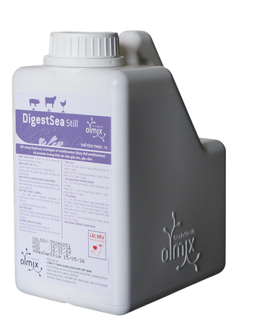 DIGESTSEA STILL