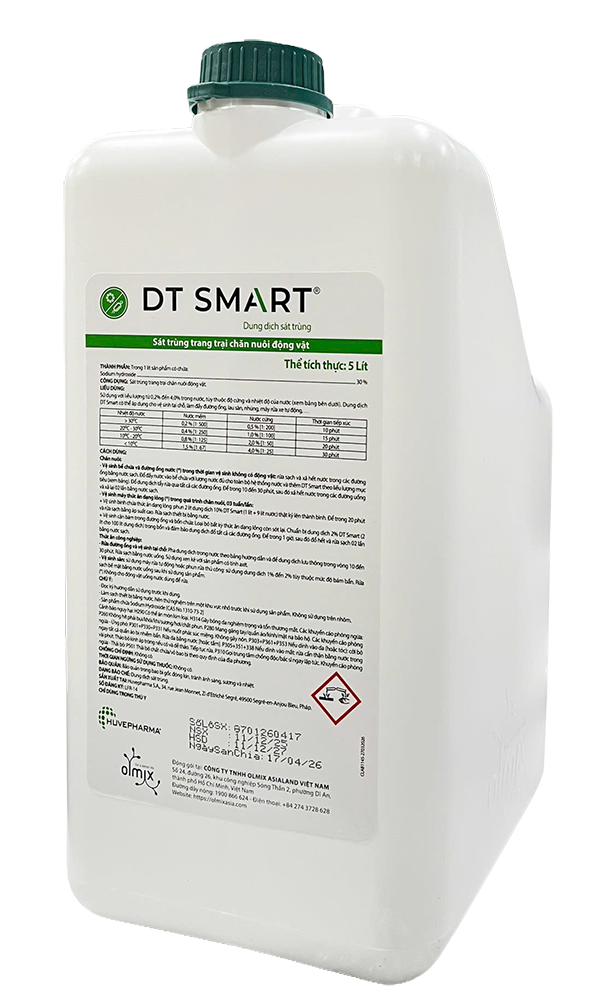  DT SMART® 