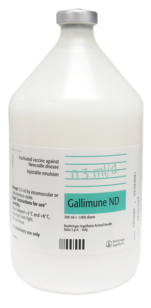 GALLIMUNE ND