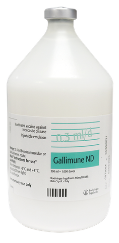 GALLIMUNE ND