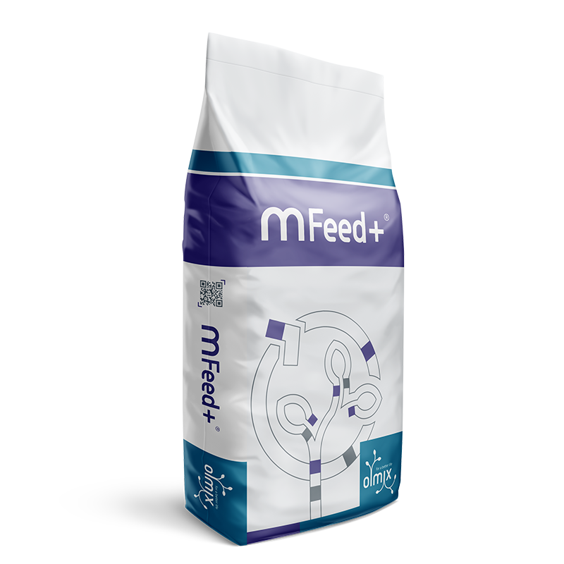  MFEED+ 