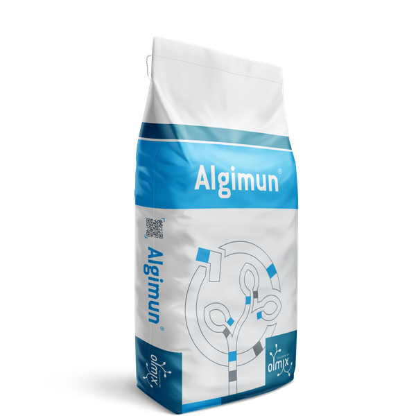 ALGIMUN