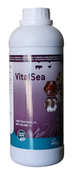 VITALSEA