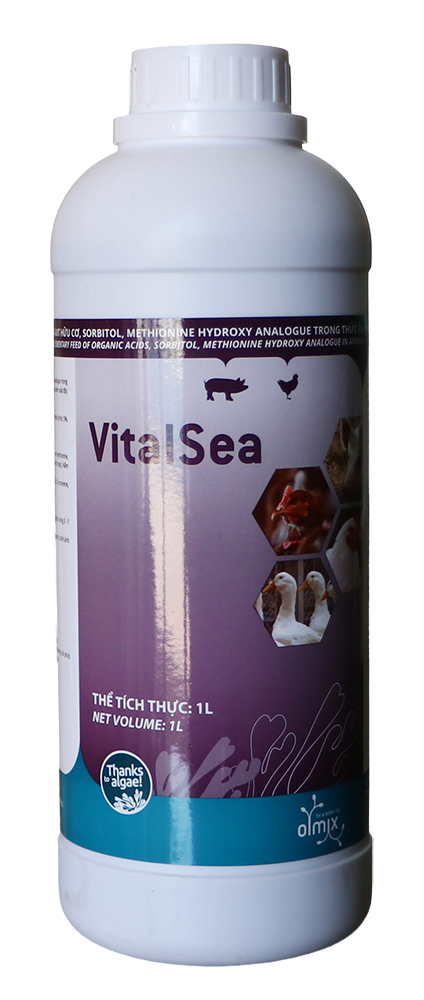  VITALSEA 