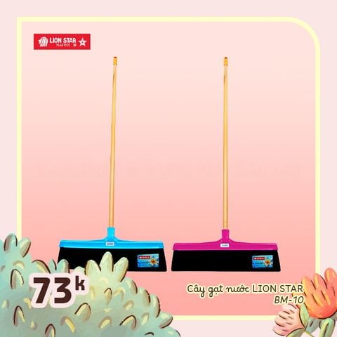 Cây gạt nước LionStar Indo 1,3m - BM-10