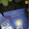 Sách Tiểu Thuyết Trinh Thám - Vụ Án Vịt Đuối Nước - Erle Stanley Gardner - Phuc Minh Books