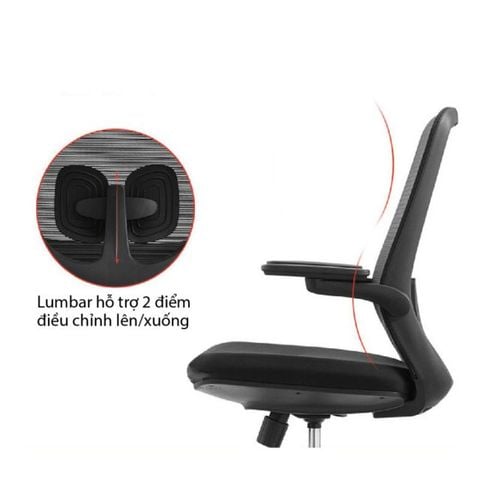  Ghế Công Thái Học Văn Phòng ERGOLIFE Erc-A2 Có Tựa Đầu 