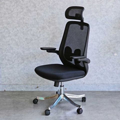  Ghế Công Thái Học Văn Phòng ERGOLIFE Erc-A2 Có Tựa Đầu 