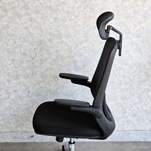  Ghế Công Thái Học Văn Phòng ERGOLIFE Erc-A2 Có Tựa Đầu 