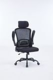  Ghế công thái học ergonomic WARRIOR Pawn Series WEC106 