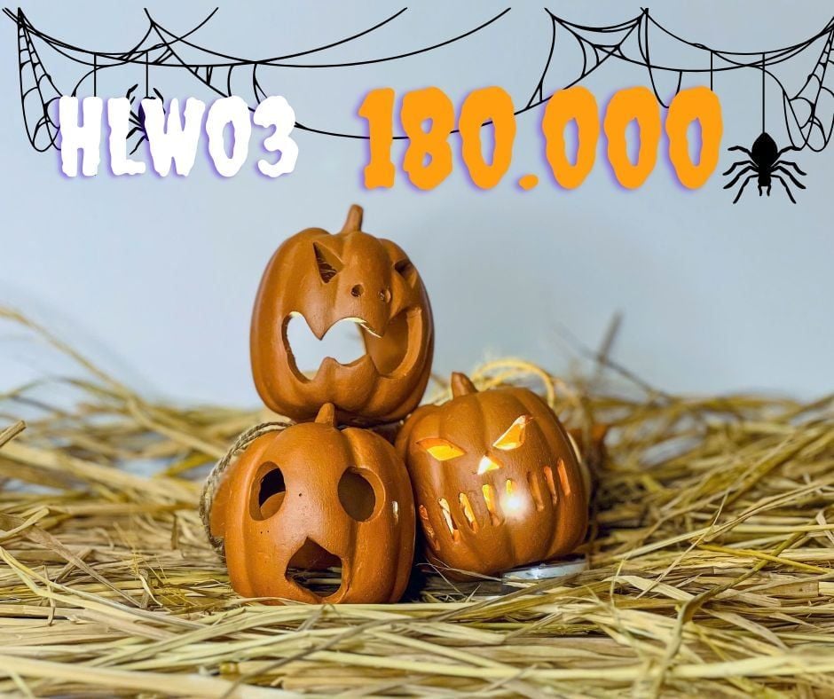  Combo Bí Ngô Đất Nung Trang Trí Halloween 