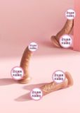  DV Giả Gân Toys , Silicon Màu Da Như Thật , Có Đế Dán Tường 