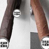  DVG Màu Sắc Chân Thật, Có Đế Dán Tường, Size 22cm 