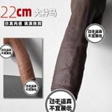  DVG Màu Sắc Chân Thật, Có Đế Dán Tường, Size 22cm 