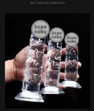  DV Giả Cao Cấp Gân Jewsn , Silicone Trong Suốt, Có Đế Dán Tường 