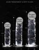  DV Giả Cao Cấp Gân Jewsn , Silicone Trong Suốt, Có Đế Dán Tường 