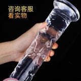  DV Giả Trong Suốt, Cao Cấp Túi Hồng , Size Trung 