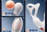  Máy Massage HM & Tuyến Tiền Liệt Nam Giới, Nhiều Tần Số Rung, SD App 