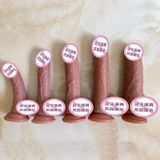  DVG Màu Da, Chân Thật, Size Trung, Có Đế Dán Tường 