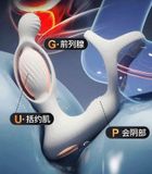  Máy Massage HM & Tuyến Tiền Liệt Nam Giới, Nhiều Tần Số Rung, SD App 