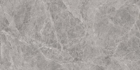 Gạch bóng Oceano ELS14460120S 60x120 cm