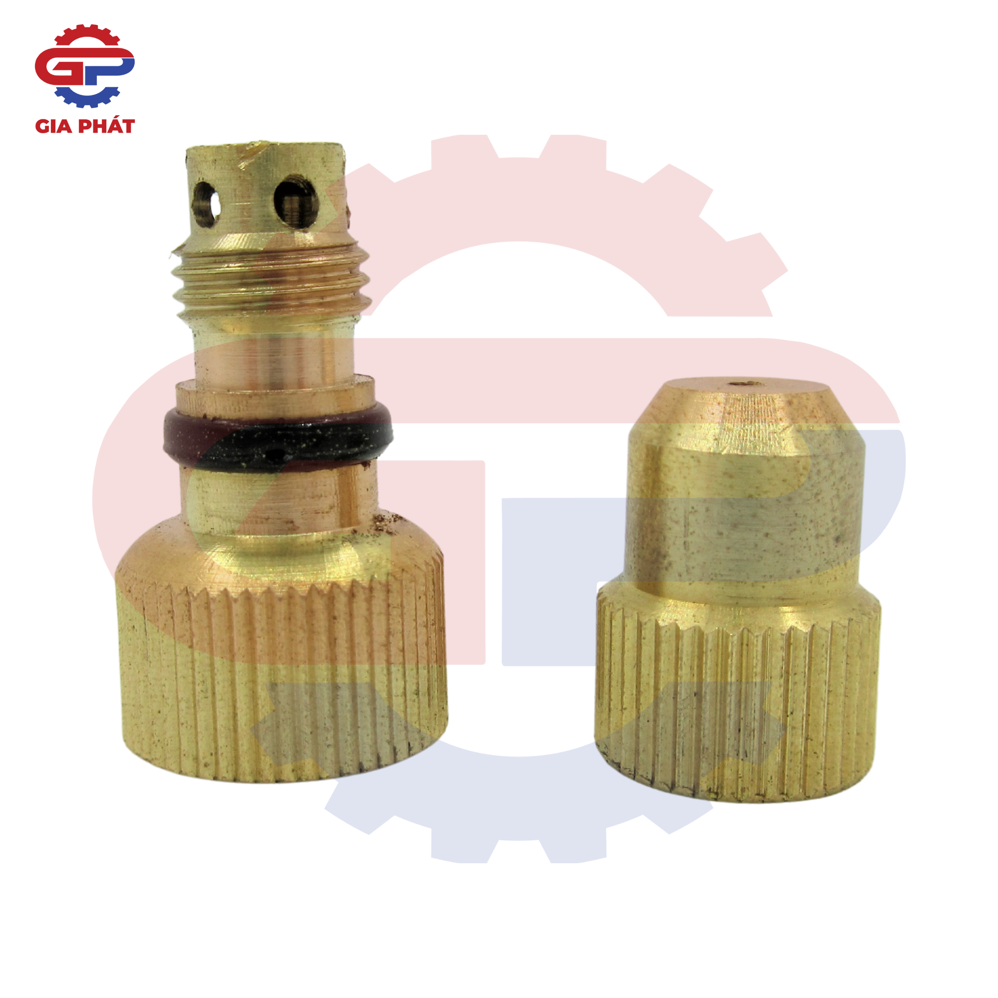 Béc rửa xe cá sấu