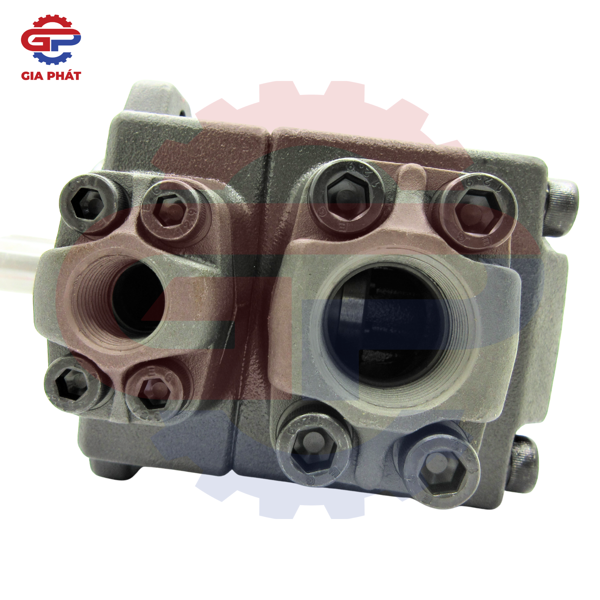 Bơm lá cánh gạt HDX PV2R