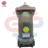 Bơm piston cong Saintfon