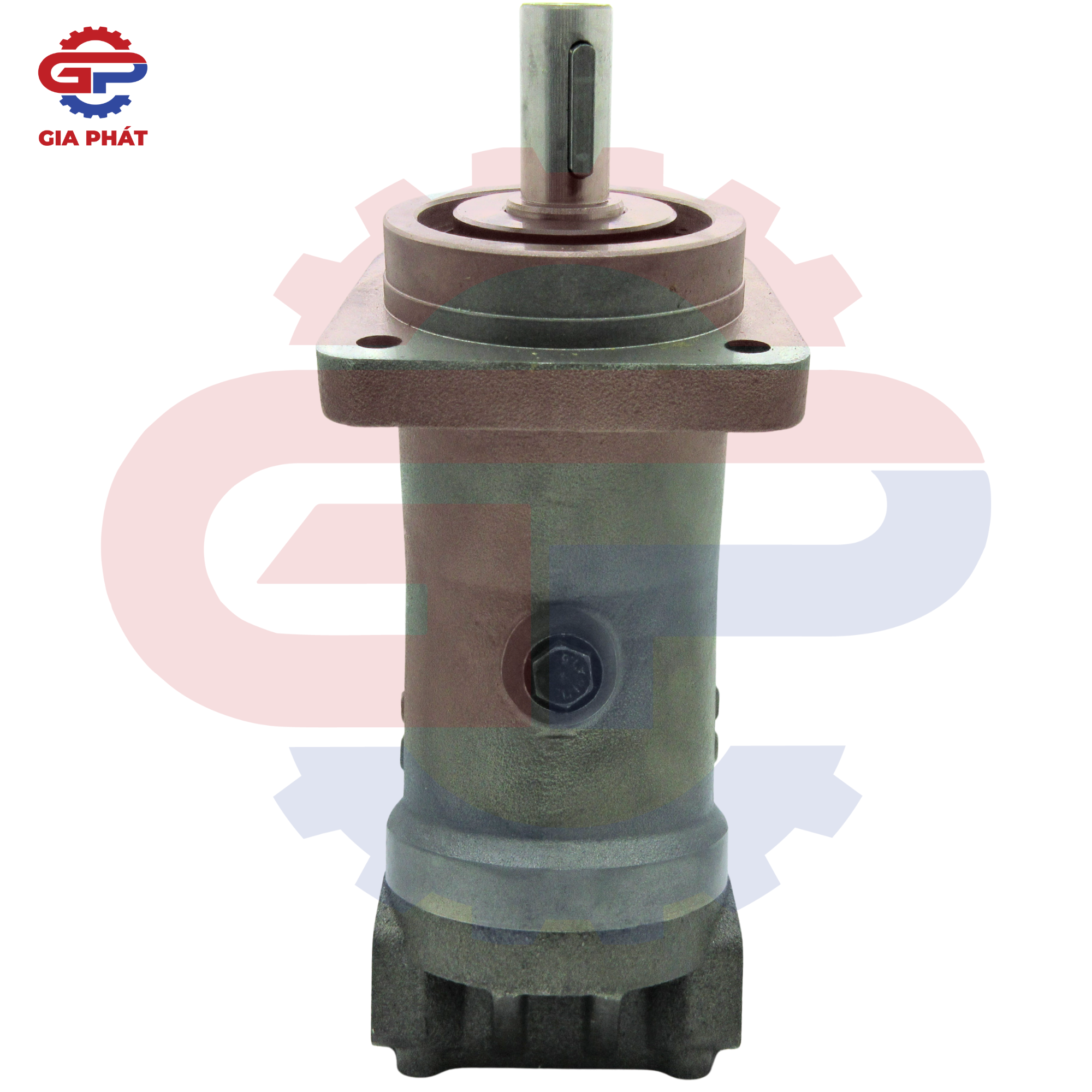 Bơm piston cong Saintfon