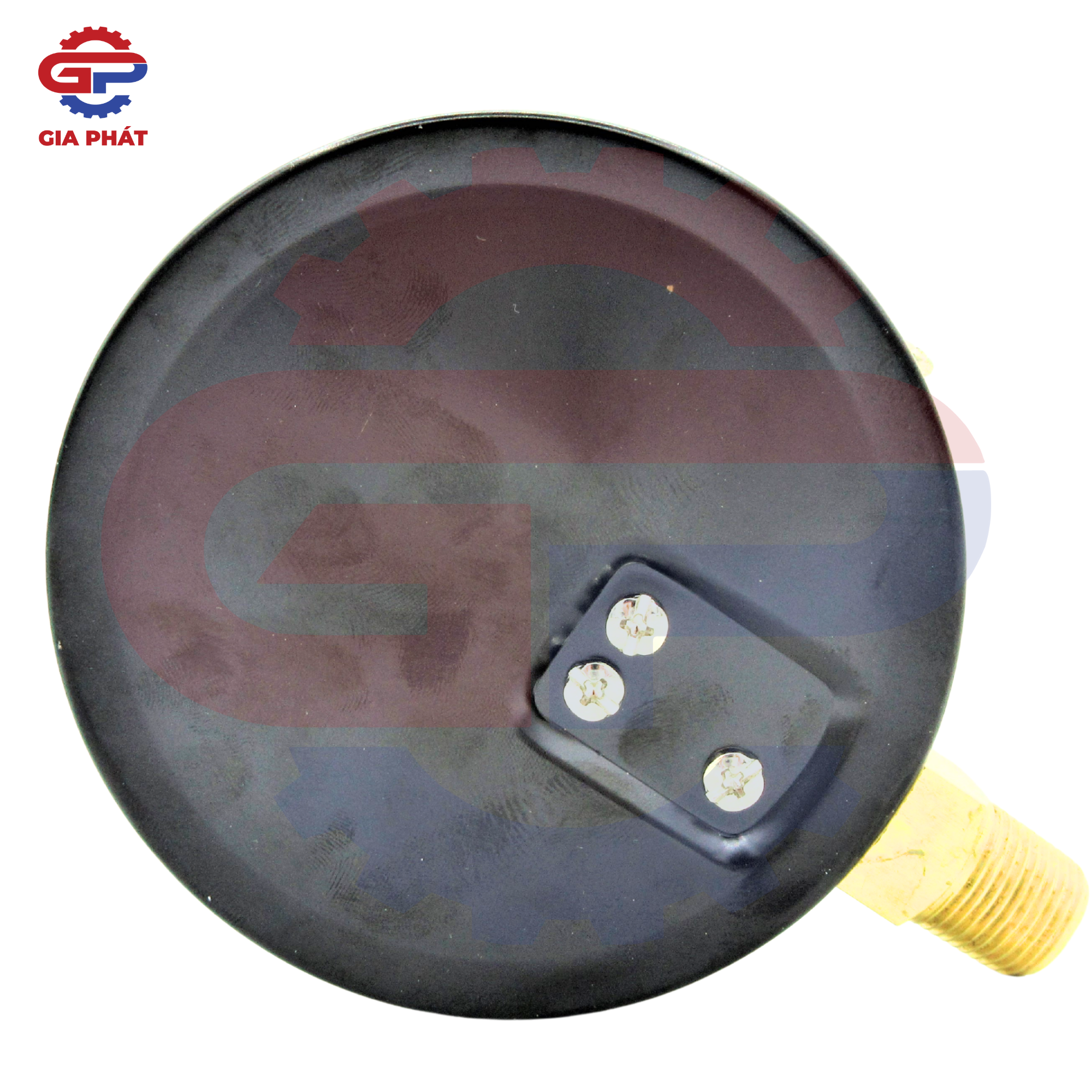 Đồng hồ đo áp suất hơi mặt 100