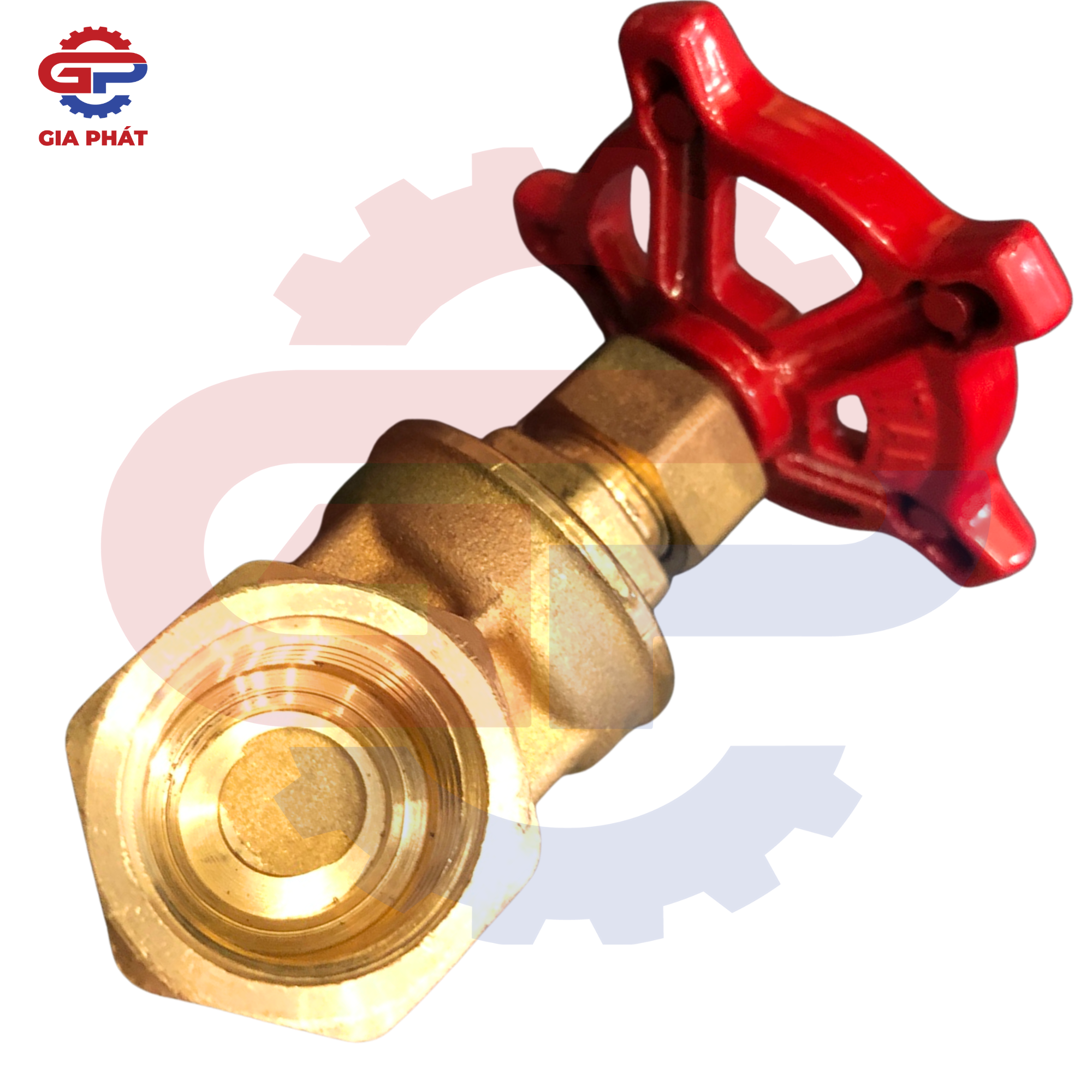 Van cửa Giacomini R55