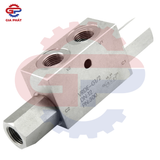 Van chống lún Saintfon 2 đường kiểu bulon VRDE